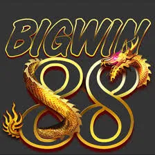 Panduan Lengkap Aplikasi bigwin88 untuk Pemula